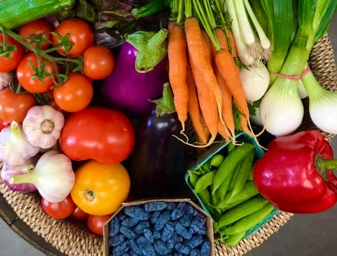 190795204_1200217610497069_7881767023491265182_n